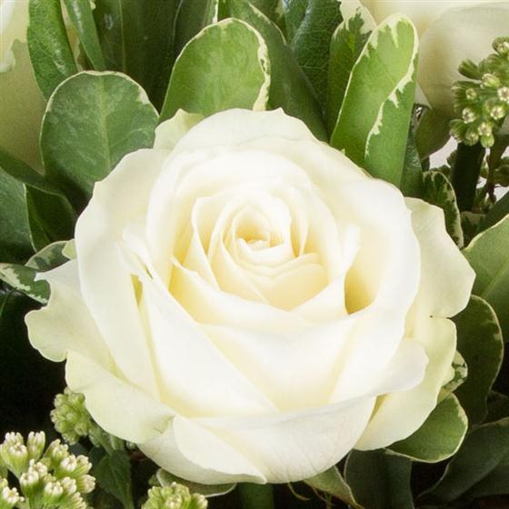 6 White Roses Design Six Long Stemmed White Roses Cambridge Floral Designs Ltd Florist